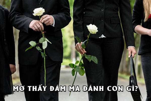 Ngủ mơ thấy đám ma ứng dụng trong đánh lô đề