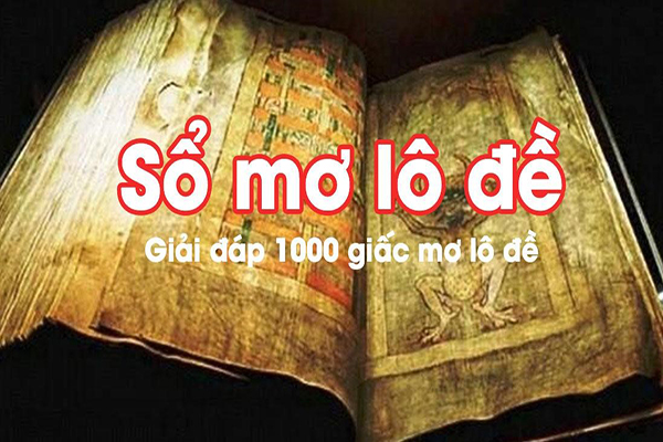 11 1000 giấc mơ lô đề thì có hàng tỷ con số đề có chính xác không?