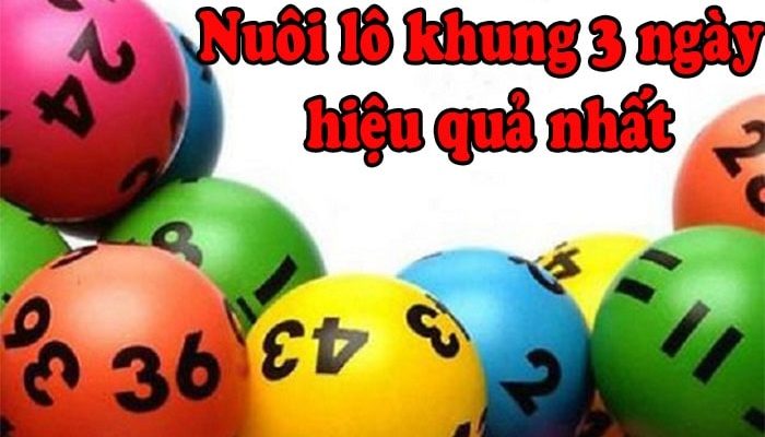 Cách phân bố vốn nuôi lô 3 ngày hiệu quả